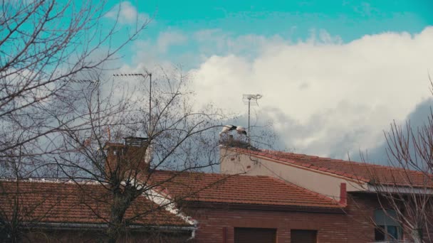 Szeroki Strzał Spokojna Wieś Hiszpanii Wdzięku Bociany Dachu Gnieździe Białe — Wideo stockowe