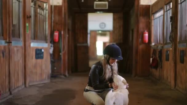 在牧场马厩里爱抚白狗的快乐而自信的漂亮女人 正面白人微笑的骑手抚摸动物在室内享受早晨的肖像 — 图库视频影像