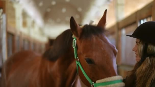 Retrato Cavalo Marrom Bela Jovem Mulher Capacete Estábulo Dentro Casa — Vídeo de Stock