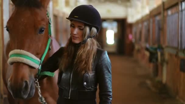 笑着的女骑手抱着马 把目光移开 身材苗条 白种人女性形象 在室内马厩中的优雅纯黄种马 — 图库视频影像