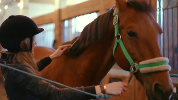 Donna Felice Casco Pettinando Criniera Cavallo Con Pennello Sorridente Vista — Video Stock