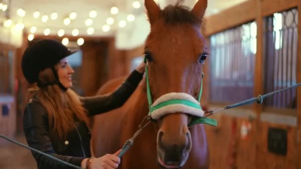 Portrait Brown Horse Standing Stables Smiling Woman Combing Mane Calm — Stock Video