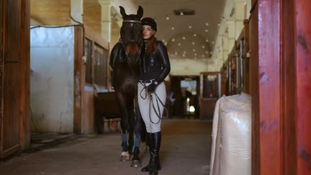 Широкий Портрет Красивой Худой Женщины Обнимающей Лошадь Стоящей Чистокровным Жеребцом — стоковое видео