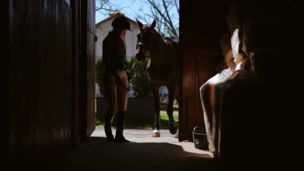 Уверенная Себе Женщина Входит Конюшню Чистокровной Лошадью Уходящей Темноте Улыбающийся — стоковое видео