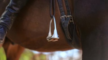 Çizmeli kadın bacağı. Dışarıya ayak basıyor. Güneşli bir günde otlakta zarif bir hayvanın sırtında tanınmayan profesyonel bir kadın.