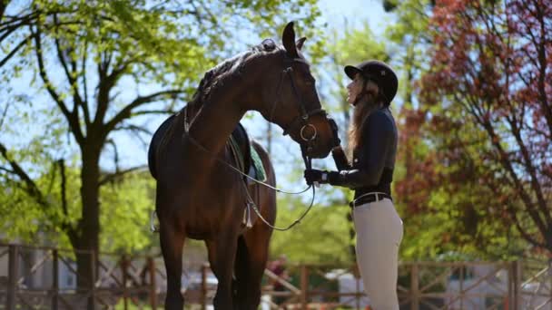 Seitenansicht Lächelnde Reiterin Uniform Streichelt Pferdegesicht Stehend Mit Haustier Freien — Stockvideo