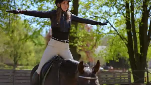 阳光明媚的日子 用纯种优雅的马在围场上微笑专业的马术训练 自信的白种人苗条美丽女人的画像 她双手高举 坐在鞍座上 — 图库视频影像