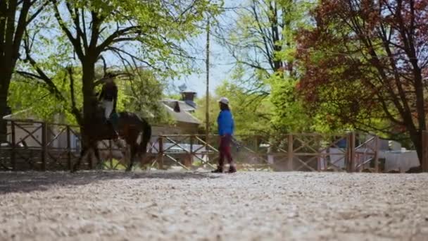 Weitwinkelkoppel Bei Sonnenschein Mit Anmutigem Pferderennen Mit Pferd Auf Dem — Stockvideo