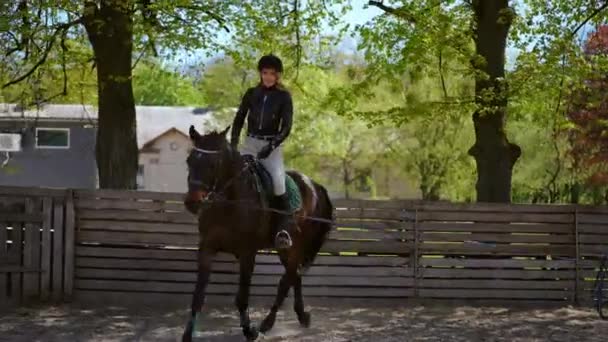 用马术训练和助推器牵着缰绳 在围场上跑来跑去的优雅马匹的跟踪镜头 广射自信的白人女子和纯种种马在户外训练 — 图库视频影像