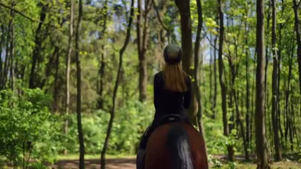 Live Camera Follows Unrecognizable Woman Riding Horse Summer Spring Forest — Stock Video