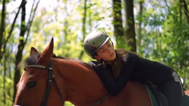 Beautiful Pretty Slim Young Woman Helmet Lying Back Horse Sunny — Stock Video