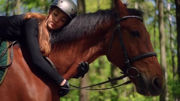 Encantadora Jovem Magro Deitado Pescoço Cavalo Acariciando Animal Olhando Redor — Vídeo de Stock