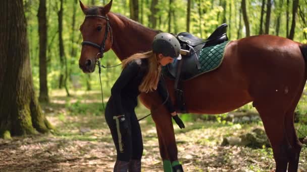 Sidovy Ung Smal Kvinna Undersöker Hästsko Renrasiga Hingst Slow Motion — Stockvideo