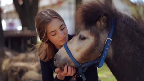 Retrato Una Joven Acariciando Pony Sonriendo Sentada Con Animal Aire — Vídeos de Stock