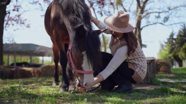 Feliz Mulher Size Animado Sentado Gramado Segurando Cavalo Freio Acariciando — Vídeo de Stock