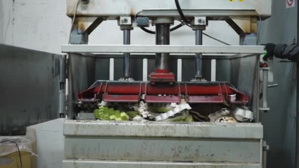 Передний Вид Гидравлический Пресс Машины Нажатия Пустые Использованные Коробки Яйцо — стоковое видео