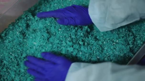 Rack Fókusz Női Kéz Kesztyűben Mutatja Aprított Műanyag Szemetet Doboz — Stock videók