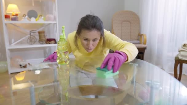 集中精神的年轻女子在室内用洗涤剂清洁玻璃桌子的肖像 全神贯注的白人漂亮的家庭主妇呆在家里客厅里 — 图库视频影像
