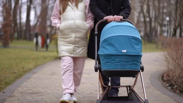 Vooraanzicht Onherkenbare Zwangere Vrouw Loopt Met Man Kinderwagen Het Najaarspark — Stockvideo