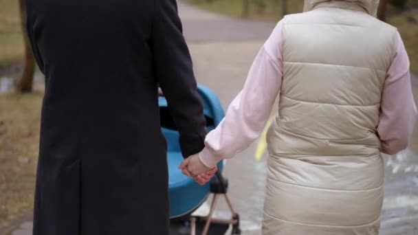 バックビュー 認識できないカップルは 公園の路地でベビーカーと歩いている手を握ります 放送された朝に屋外で新生児と散歩するコーカサス愛する男と女性の追跡ショット — ストック動画