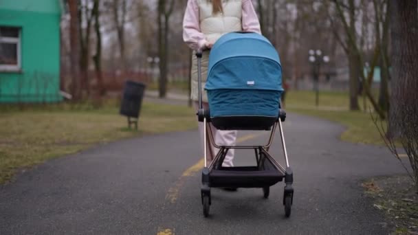 Přední Pohled Modrý Dětský Kočárek Těhotnou Nerozpoznatelnou Mladou Ženou Kráčející — Stock video