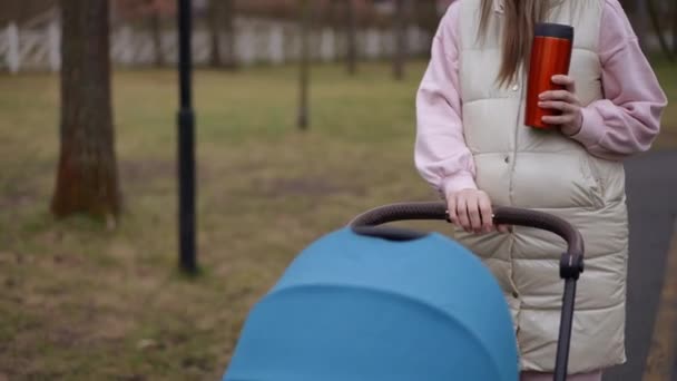 Bulutlu Bir Sabahta Parkta Yürüyen Bebek Arabası Termosuyla Tanınmayan Hamile — Stok video