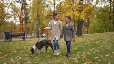 Geniş açılı kaygısız mutlu çocuk ve kız parktaki çayırda köpekle ağır çekimde konuşuyorlar. Kafkasyalı rahat erkek ve kız kardeşler evcil hayvanlarla gezmenin keyfini çıkarıyorlar.