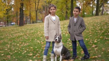 Geniş açıda kendine güvenen bir çocuk ve kız, park çayırında safkan bir köpekle kameraya bakıyor. Mutlu pozitif, rahat, Kafkasyalı erkek ve kız kardeş Amerikan Staffordshire Teriyeri ile açık havada poz veriyor.