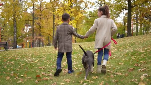 Зворотній Бік Задоволений Хлопчик Дівчинка Тримаються Руки Йдучи Парковій Зоні — стокове відео