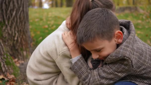 Affascinanti Bambini Felici Abbracciando Cane Razza Pura Rallentatore Sul Prato — Video Stock