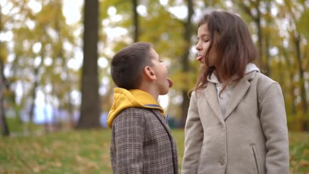 공원에서 초원에 서로를보고 보여주는 쾌활한 케어프리 소년과 편안한 즐거운 코카서스 — 비디오