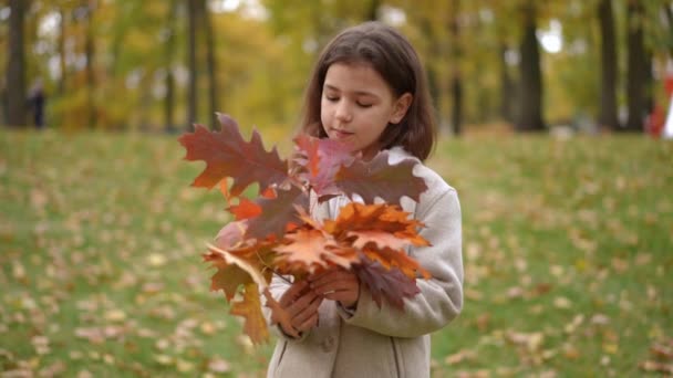 秋の公園でポーズする笑顔の女の子から 女性の手で落ちた赤い葉の花束に焦点を当てます ミディアムショット幸せな自信を持ってコーカサスの子供はカメラを見ている秋の花束を伸ばします — ストック動画