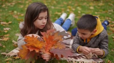 Hiperaktif bir oğlan ve sakin bir kız bahçedeki çayırlarda düşmüş yapraklarla oynuyor. Kafkasyalı kardeşleriniz ve kız kardeşleriniz yavaş çekimde eğleniyor.