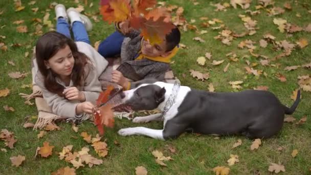 Visão Alto Ângulo Cão Curioso Brincando Com Menino Menina Deitado — Vídeo de Stock