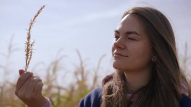 Güz tarlasında elinde buğday sapına hayran olan güzel beyaz kadın. Rahatlamış, kendine güvenen, açık havada mahsul yetiştiren genç bir bayan portresi. Yavaş çekim