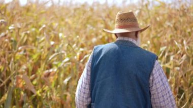 Sonbahar tarlasında güneşli bir günde hasır şapkalı kıdemli bir çiftçi yürüyor. Kafkasyalı bir adam buğday hasadını kontrol ederken vuruldu.