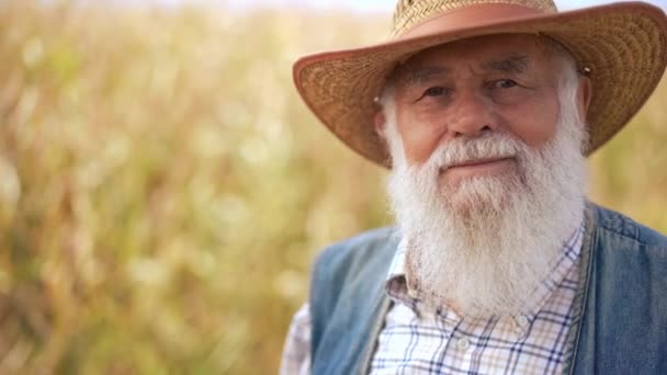 屋外の秋のフィールドに立っているカメラを見ながら笑顔のシニアマンの閉じた肖像画 ハッピー自信のあるコーカサス農家がゆっくりとした動きでポーズ — ストック動画