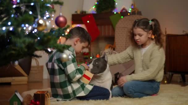 孩子们在圣诞树旁的闲暇时间 男孩打开礼物 女孩与心爱的狗玩耍 — 图库视频影像
