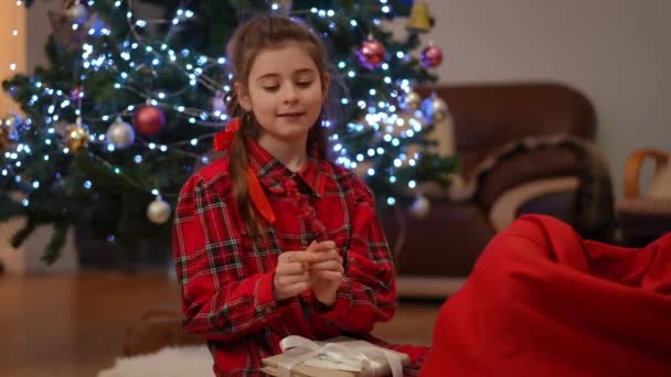 在靠近圣诞树的客厅里 一个女孩用一根冬青枝头装饰圣诞礼物 — 图库视频影像