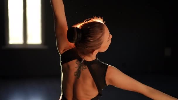 Graziosi Movimenti Delle Braccia Del Corpo Una Bella Ballerina Alla — Video Stock