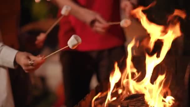 Close Orang Orang Tangan Mereka Memegang Tongkat Dengan Marshmallow Dalam — Stok Video