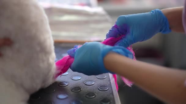 Female Groomer Wearing Rubber Gloves Carefully Rubs Pink Paint Fluffy — Stock Video