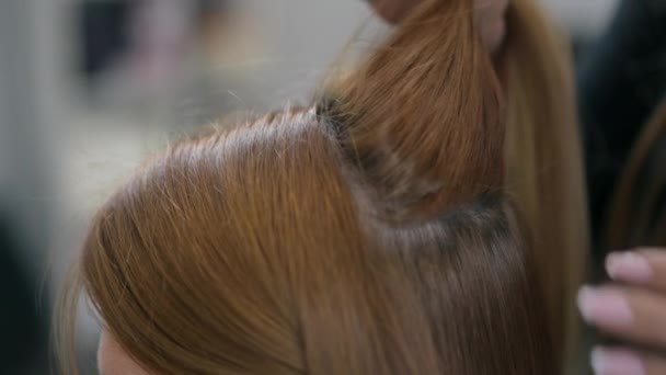 Жінка Трихолог Піднімає Волосся Пацієнтів Прикладає Тріхоскоп Відкритої Ділянки Черепа — стокове відео