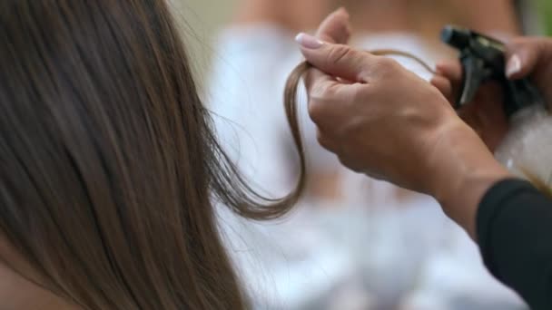 Kadın Bir Trikoloğun Elinde Hastaların Saçlarından Bir Tutam Tutuyordu Yakın — Stok video