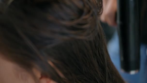 Сушка Мокрого Жіночого Волосся Фену Сучасному Салоні Крупним Планом — стокове відео