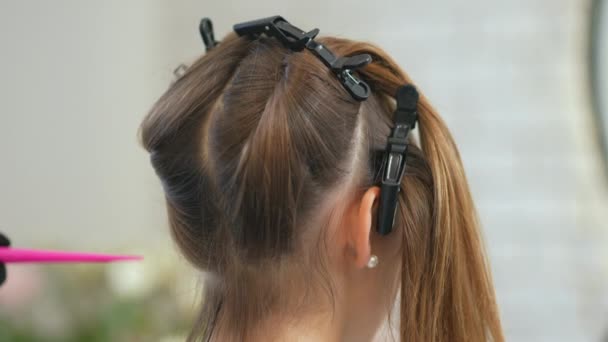 Saçları Tokayla Tutturulmuş Bir Kızın Kafasının Arkası Kuaför Kızın Saçını — Stok video