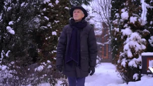 Ένας Ηλικιωμένος Ένα Καπέλο Διασχίζει Ένα Χιονισμένο Πάρκο Έξω — Αρχείο Βίντεο
