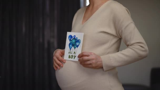 Lassú Mozgás Egy Felismerhetetlen Terhes Profilja Aki Egyik Kezével Egy — Stock videók