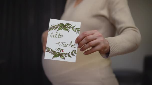 Primer Plano Cámara Lenta Hola Mundo Perfil Una Mujer Embarazada — Vídeo de stock