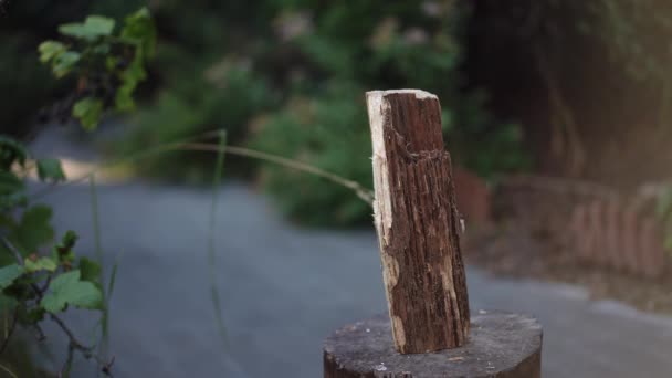 Yakın Plan Ateş Için Odun Kırıyorum Bir Kütüğün Üzerinde Duran — Stok video